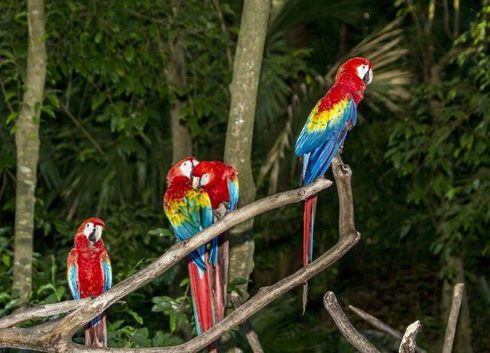 Xplor